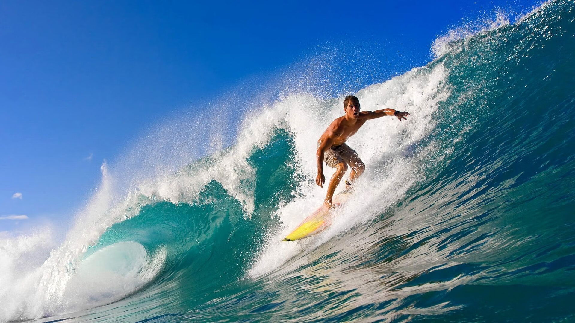 爱游戏大厅-F1年度争冠焦点战，挪威血拼牙买加，冰与火的终极缠斗